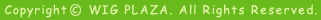 Copyright  WIG PLAZA. All Rights Reserved.